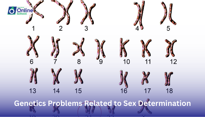 Lesson 32: Solving Genetics Problems Related to Sex Determination